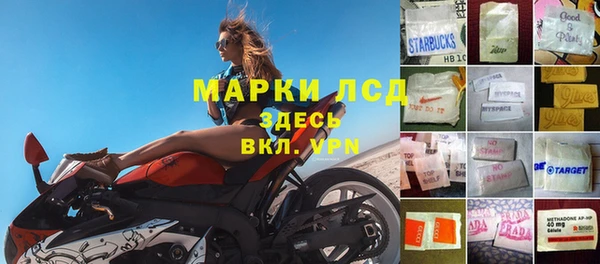 стафф Армянск